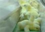 We feed the world/ Allegro Film